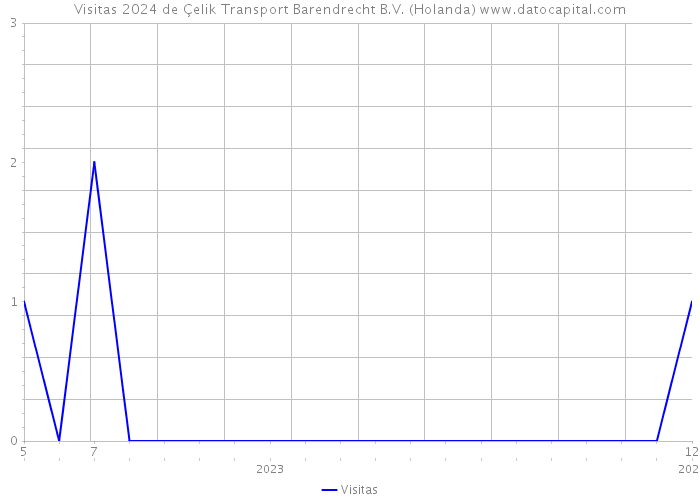 Visitas 2024 de Çelik Transport Barendrecht B.V. (Holanda) 