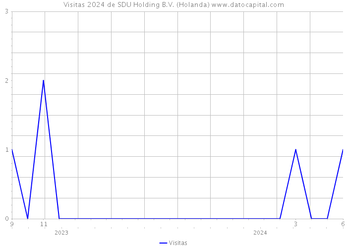 Visitas 2024 de SDU Holding B.V. (Holanda) 