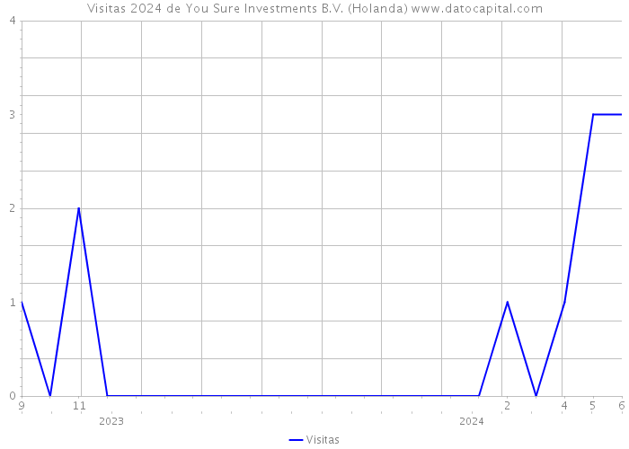 Visitas 2024 de You Sure Investments B.V. (Holanda) 