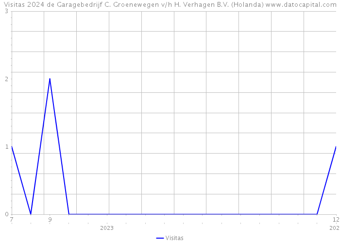 Visitas 2024 de Garagebedrijf C. Groenewegen v/h H. Verhagen B.V. (Holanda) 