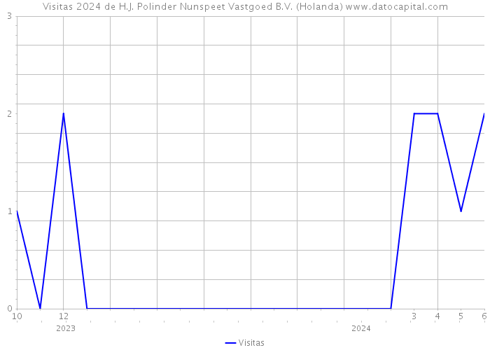 Visitas 2024 de H.J. Polinder Nunspeet Vastgoed B.V. (Holanda) 