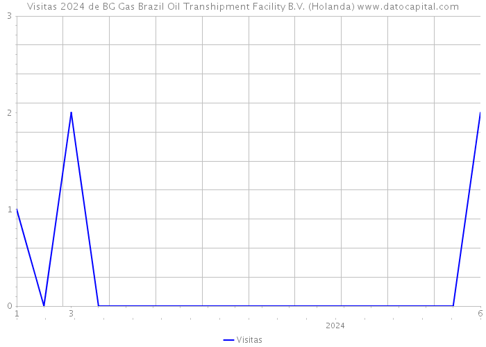 Visitas 2024 de BG Gas Brazil Oil Transhipment Facility B.V. (Holanda) 