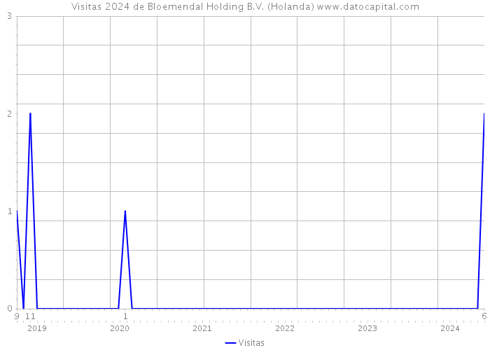 Visitas 2024 de Bloemendal Holding B.V. (Holanda) 