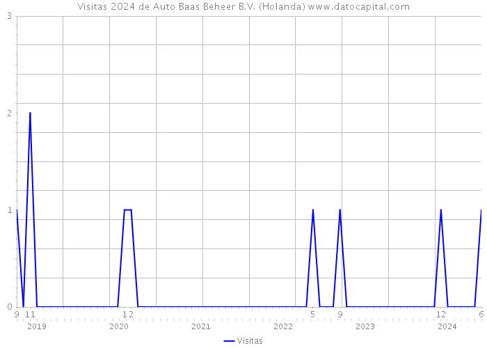 Visitas 2024 de Auto Baas Beheer B.V. (Holanda) 