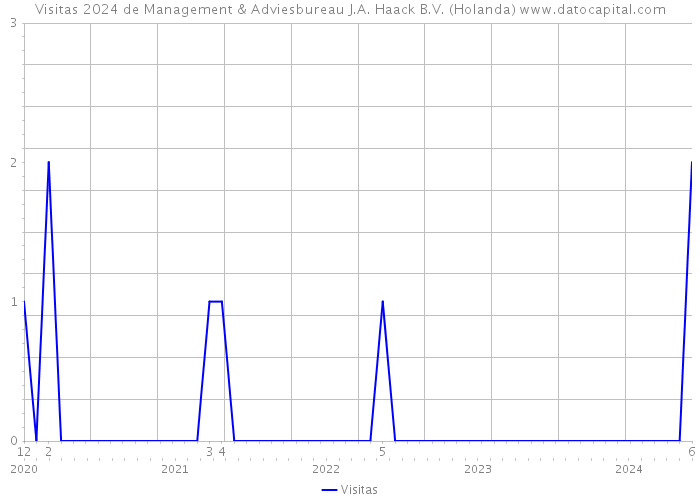 Visitas 2024 de Management & Adviesbureau J.A. Haack B.V. (Holanda) 