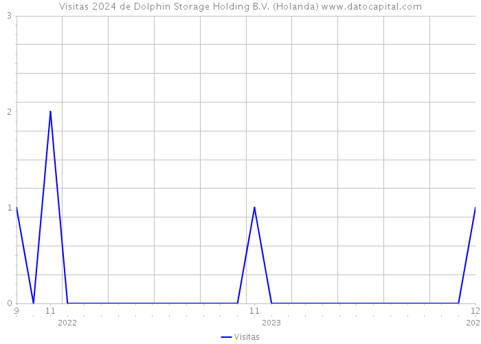 Visitas 2024 de Dolphin Storage Holding B.V. (Holanda) 