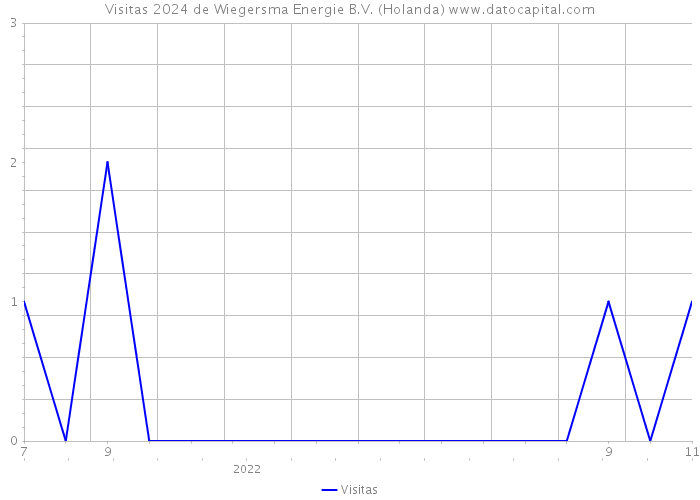 Visitas 2024 de Wiegersma Energie B.V. (Holanda) 