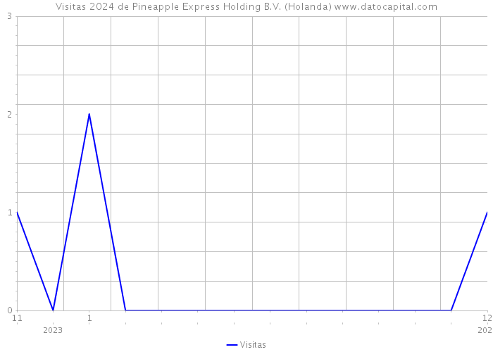 Visitas 2024 de Pineapple Express Holding B.V. (Holanda) 