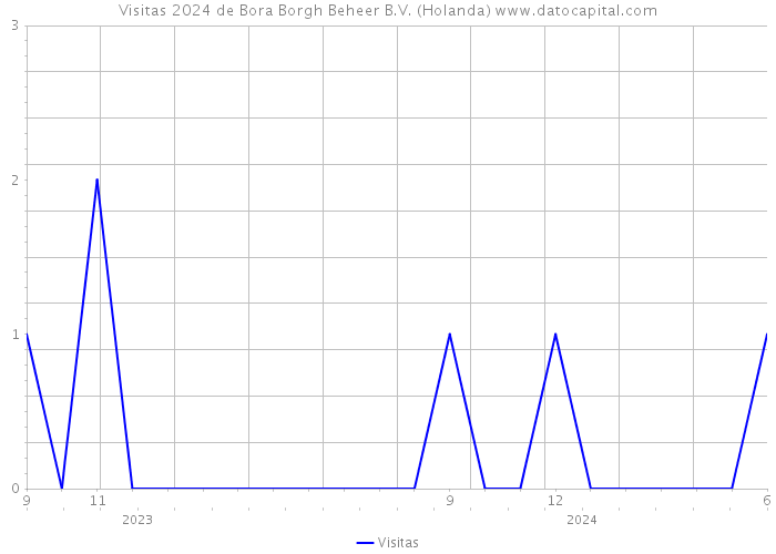 Visitas 2024 de Bora Borgh Beheer B.V. (Holanda) 