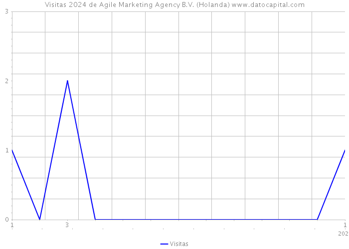 Visitas 2024 de Agile Marketing Agency B.V. (Holanda) 