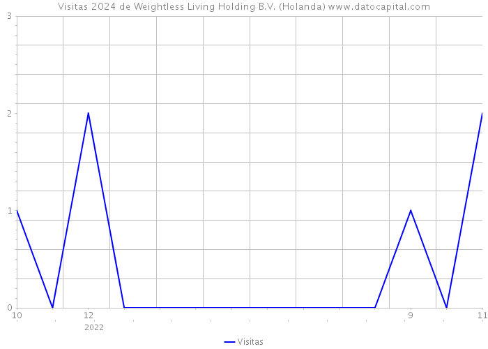 Visitas 2024 de Weightless Living Holding B.V. (Holanda) 