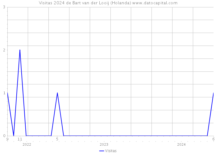 Visitas 2024 de Bart van der Looij (Holanda) 