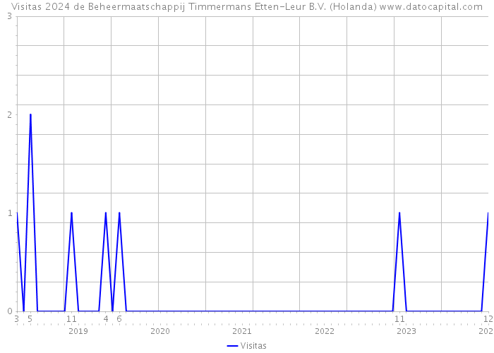 Visitas 2024 de Beheermaatschappij Timmermans Etten-Leur B.V. (Holanda) 