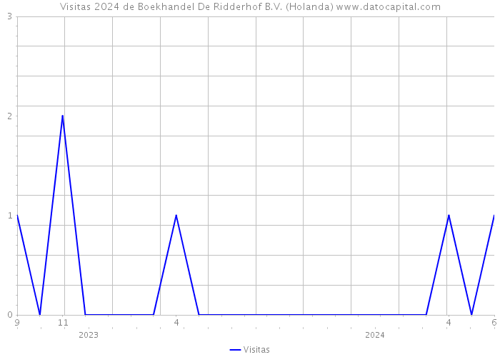 Visitas 2024 de Boekhandel De Ridderhof B.V. (Holanda) 