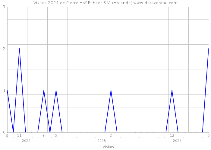 Visitas 2024 de Pierre Hof Beheer B.V. (Holanda) 