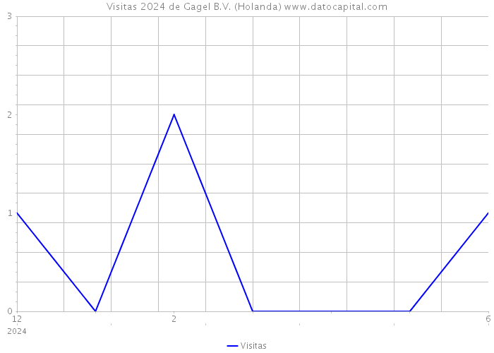 Visitas 2024 de Gagel B.V. (Holanda) 