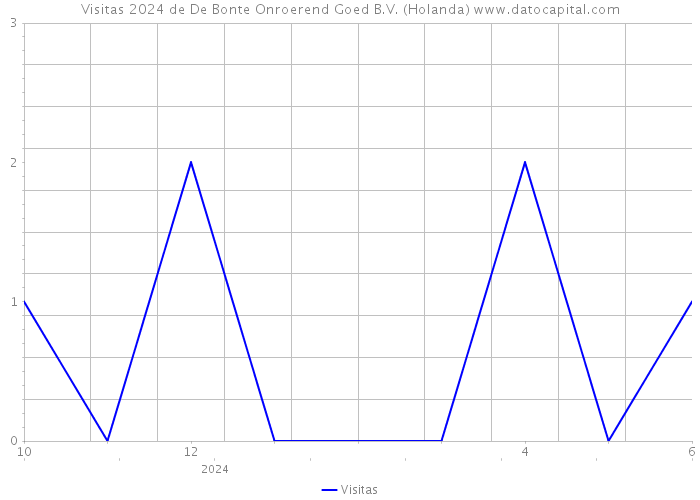 Visitas 2024 de De Bonte Onroerend Goed B.V. (Holanda) 