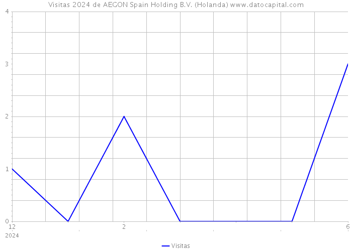 Visitas 2024 de AEGON Spain Holding B.V. (Holanda) 