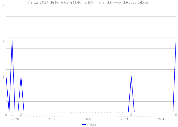 Visitas 2024 de Pure Care Holding B.V. (Holanda) 