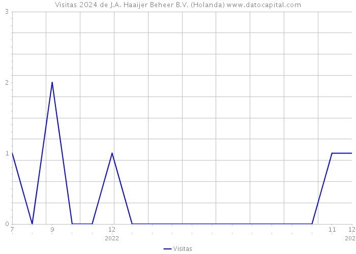 Visitas 2024 de J.A. Haaijer Beheer B.V. (Holanda) 