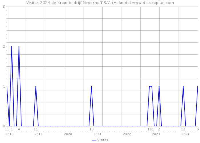 Visitas 2024 de Kraanbedrijf Nederhoff B.V. (Holanda) 