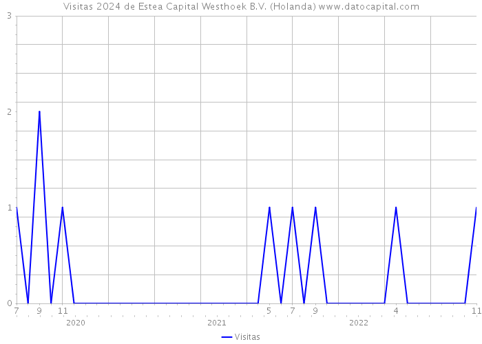 Visitas 2024 de Estea Capital Westhoek B.V. (Holanda) 