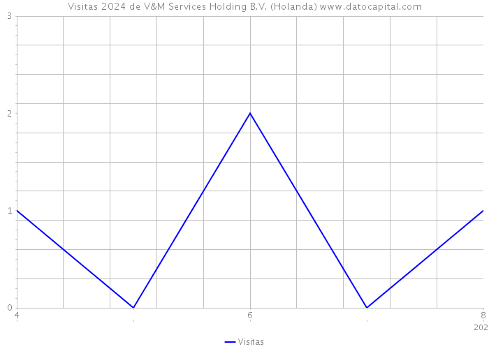 Visitas 2024 de V&M Services Holding B.V. (Holanda) 