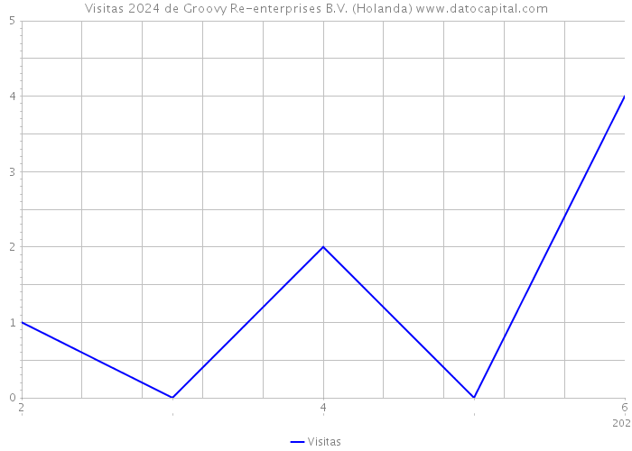 Visitas 2024 de Groovy Re-enterprises B.V. (Holanda) 