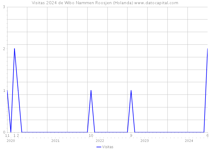Visitas 2024 de Wibo Nammen Roosjen (Holanda) 