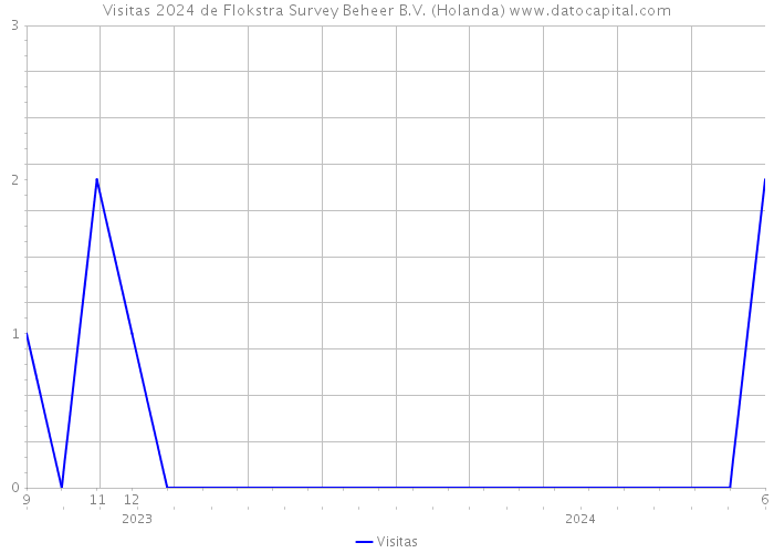 Visitas 2024 de Flokstra Survey Beheer B.V. (Holanda) 