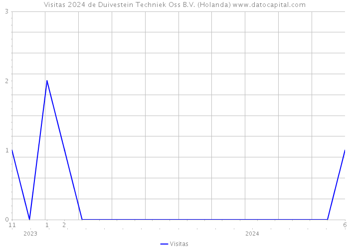 Visitas 2024 de Duivestein Techniek Oss B.V. (Holanda) 