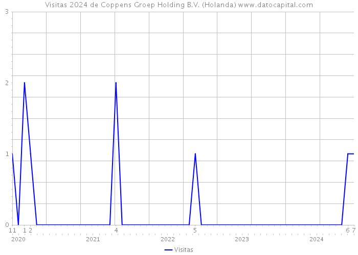 Visitas 2024 de Coppens Groep Holding B.V. (Holanda) 