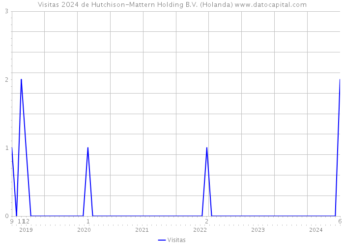 Visitas 2024 de Hutchison-Mattern Holding B.V. (Holanda) 