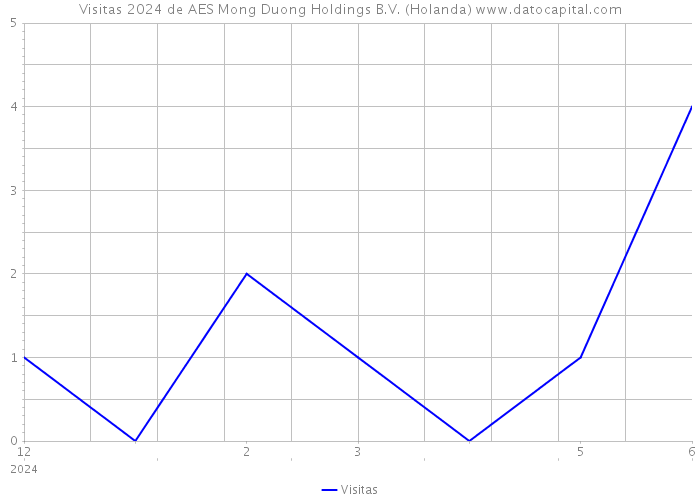 Visitas 2024 de AES Mong Duong Holdings B.V. (Holanda) 