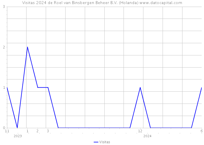 Visitas 2024 de Roel van Binsbergen Beheer B.V. (Holanda) 