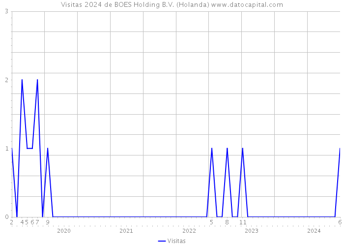 Visitas 2024 de BOES Holding B.V. (Holanda) 