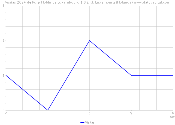 Visitas 2024 de Purp Holdings Luxembourg 1 S.à.r.l. Luxemburg (Holanda) 