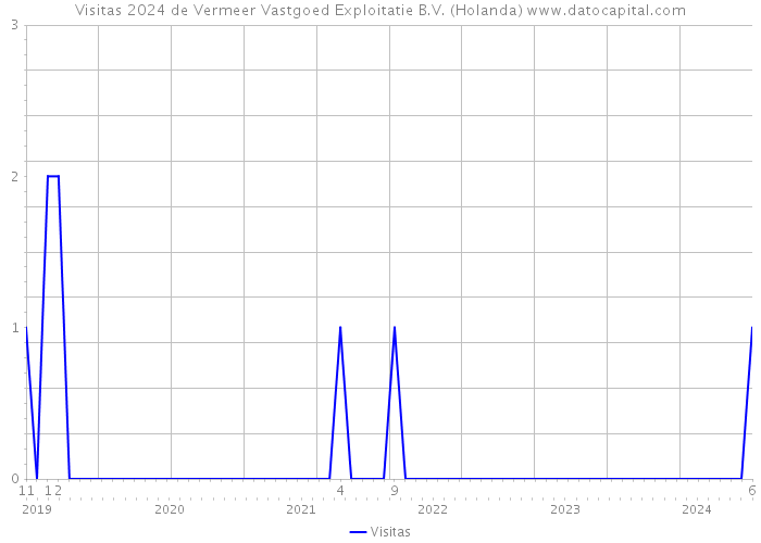 Visitas 2024 de Vermeer Vastgoed Exploitatie B.V. (Holanda) 