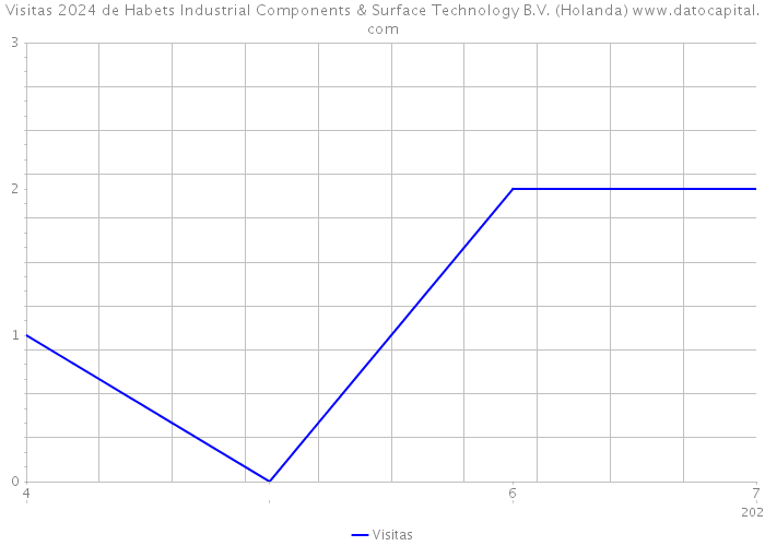 Visitas 2024 de Habets Industrial Components & Surface Technology B.V. (Holanda) 