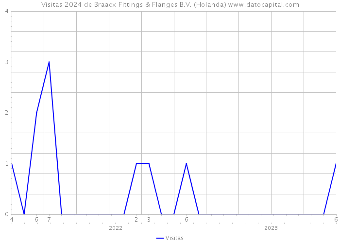 Visitas 2024 de Braacx Fittings & Flanges B.V. (Holanda) 