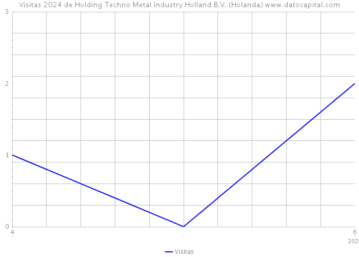Visitas 2024 de Holding Techno Metal Industry Holland B.V. (Holanda) 
