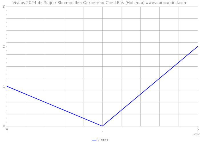 Visitas 2024 de Ruijter Bloembollen Onroerend Goed B.V. (Holanda) 