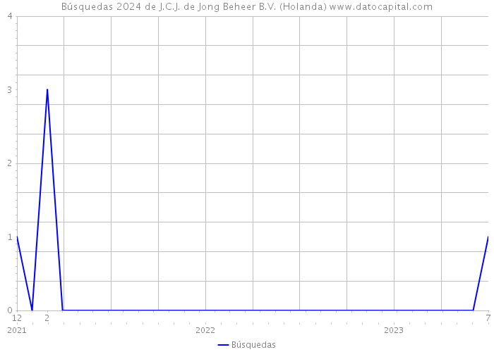 Búsquedas 2024 de J.C.J. de Jong Beheer B.V. (Holanda) 