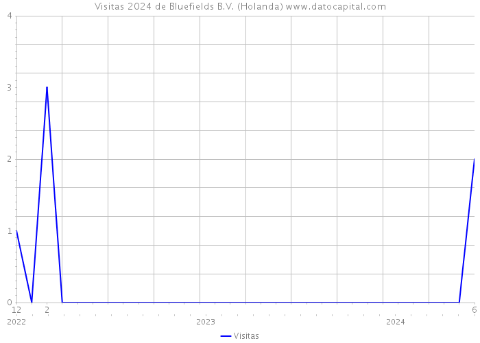Visitas 2024 de Bluefields B.V. (Holanda) 