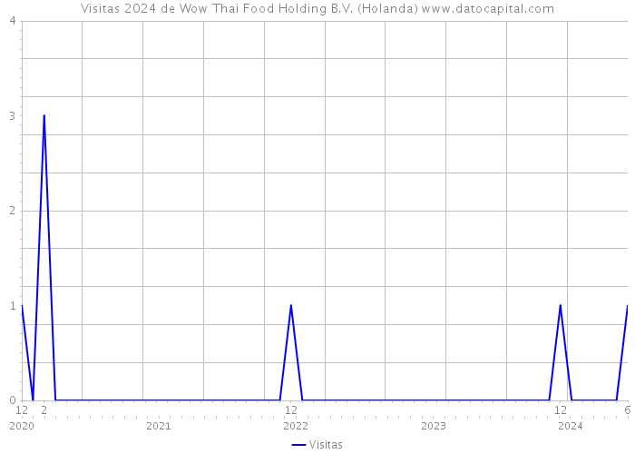 Visitas 2024 de Wow Thai Food Holding B.V. (Holanda) 