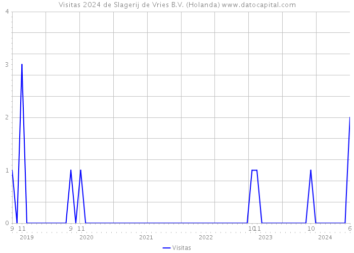 Visitas 2024 de Slagerij de Vries B.V. (Holanda) 