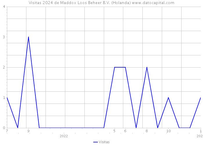 Visitas 2024 de Maddox Loos Beheer B.V. (Holanda) 