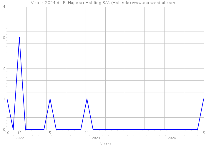 Visitas 2024 de R. Hagoort Holding B.V. (Holanda) 