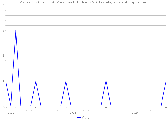 Visitas 2024 de E.H.A. Markgraaff Holding B.V. (Holanda) 