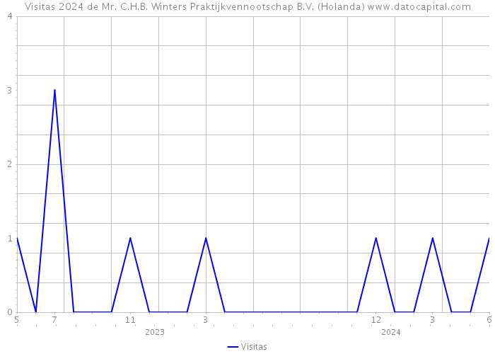 Visitas 2024 de Mr. C.H.B. Winters Praktijkvennootschap B.V. (Holanda) 